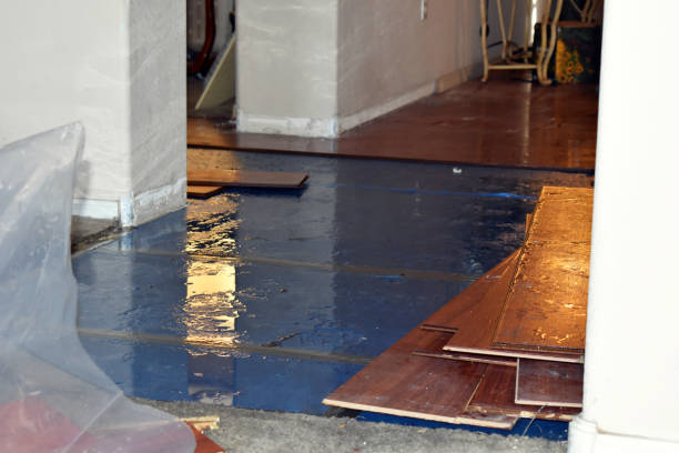 Professional Burst Pipe Cleanup technician working in Wildersville, TN